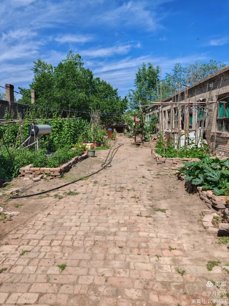 怀仁下寨农场:镌刻在岁月里的青春诗章